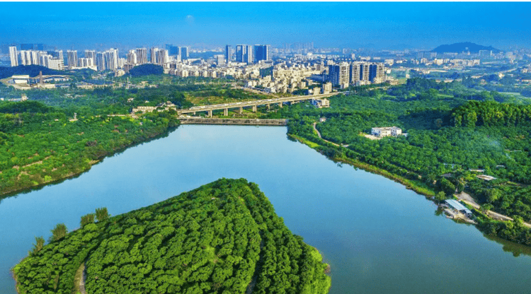 图文直播平台,免费图文直播,兼职摄像师,文字直播平台