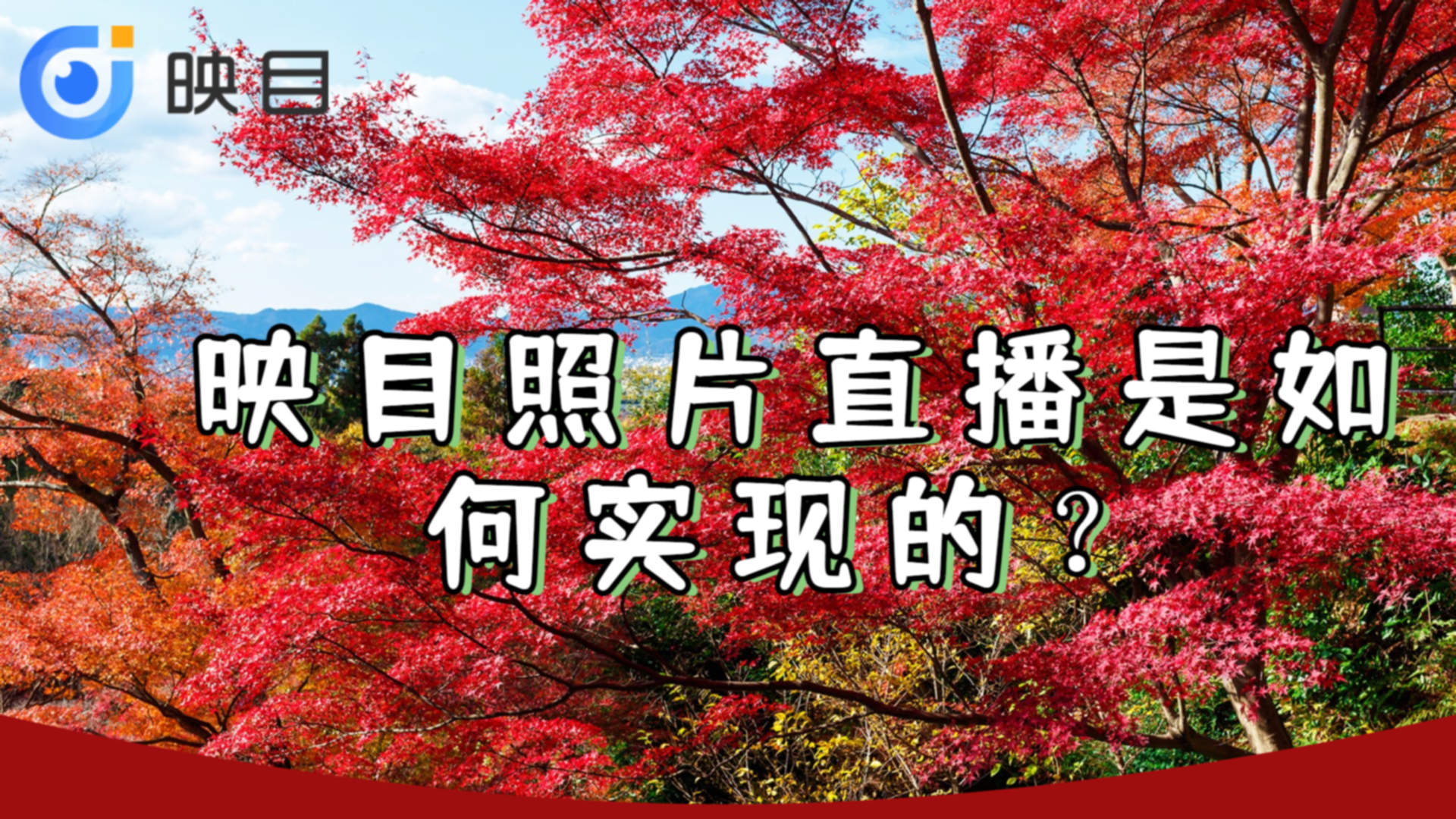 短视频直播,直播内容,微信视频直播,VR全景直播,直播营销,全景直播