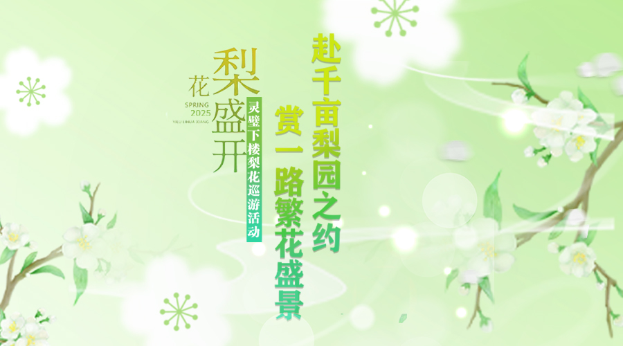 兼职视频剪辑师,映目直播报价,兼职翻译人员,照片直播平台