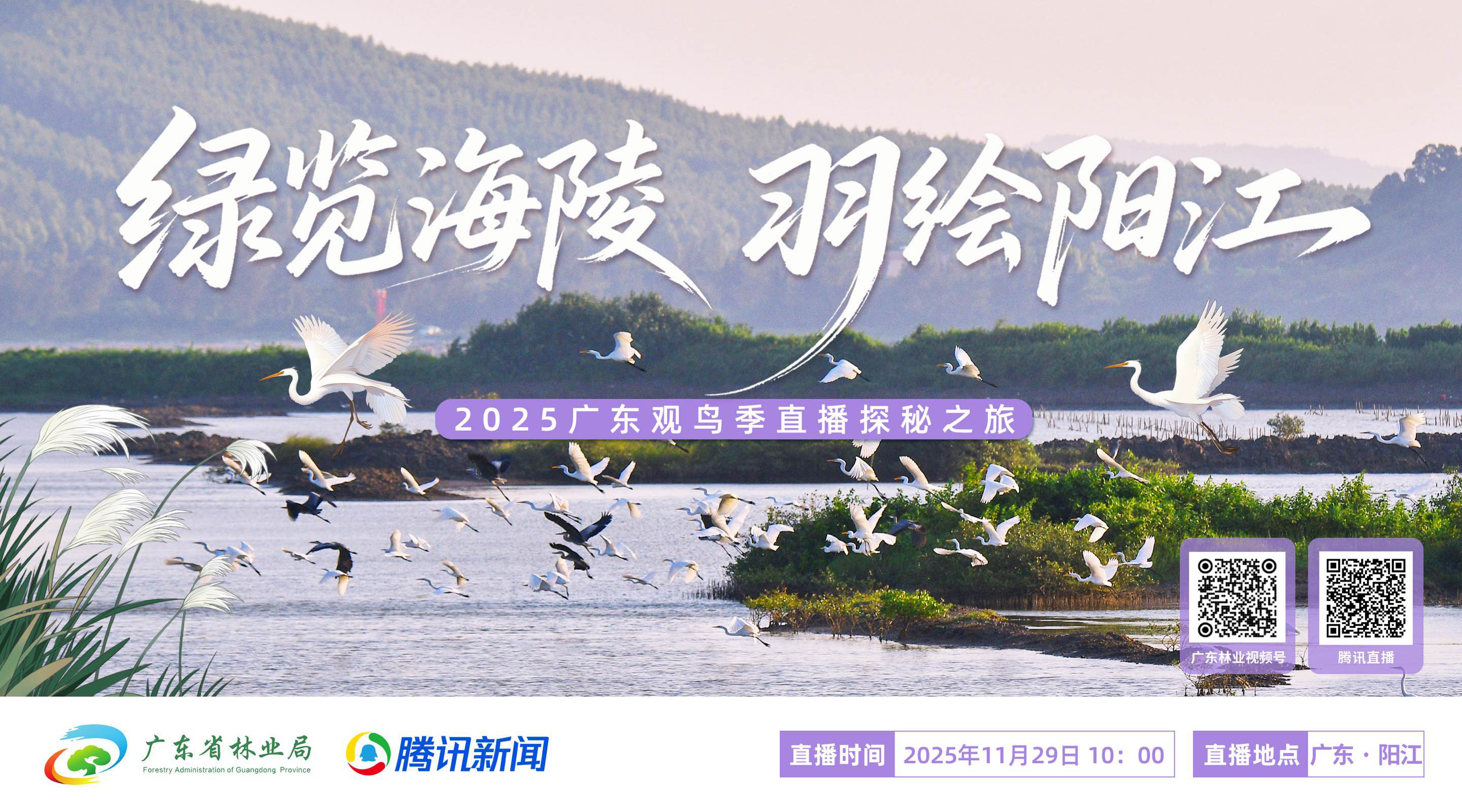 兼职摄影师,免费直播平台,映目直播报价,映目直播